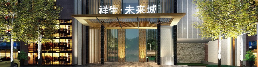 泰興·祥生未來城