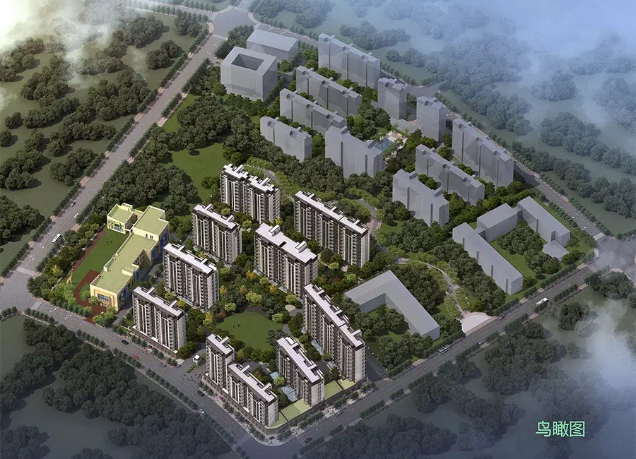 1463037527115499oeOg.jpg IMG_1330.JPG