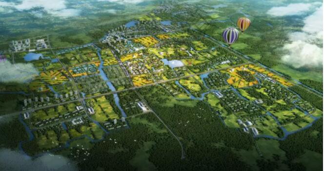 1535095935496771SAYP.jpg 2.jpg