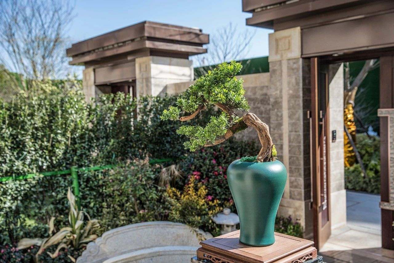 1536893785738939wCFT.png 1536893785738939wCFT.png