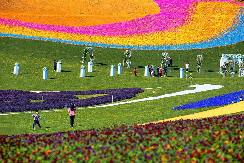 1558332147597823EoCr.jpg 4.jpg