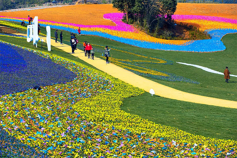 1558332160470602dFOs.jpg 6.jpg